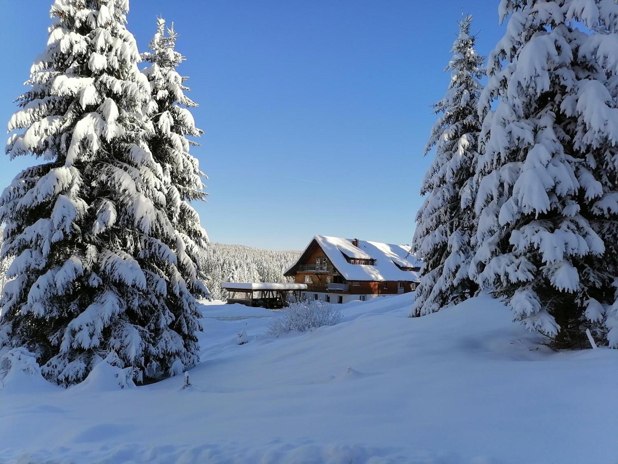 Ferienwohnung Heustueble Hinterzarten Extérieur photo